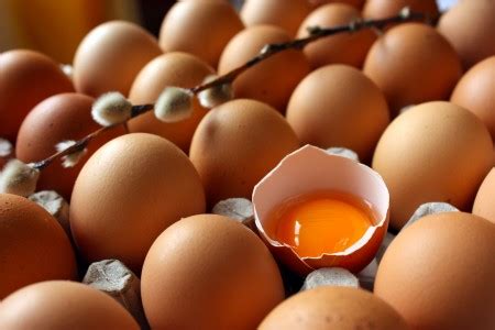 yumurtanın beyazında hangi vitaminler var